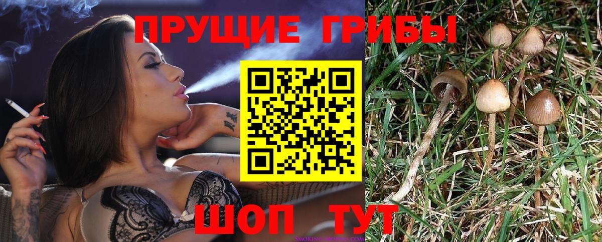 Галлюциногенные грибы мухоморы  Галлюциногенные грибы MAGIC MUSHROOMS  Отрадное  Вход с VPN 